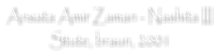 Ansata Amir Zaman - Nashita III Stute, braun, 2001