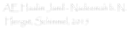 AE Haalim Jamil - Nadeemah b. N.  Hengst, Schimmel, 2015