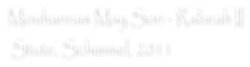 Mouhannas May Son - Rabeah II  Stute, Schimmel, 2011