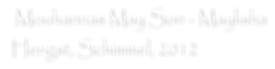 Mouhannas May Son - Maylisha  Hengst, Schimmel, 2012