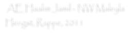 AE Haalim Jamil - NW Maleyla  Hengst, Rappe, 2011