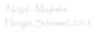 Nogal - Maylisha  Hengst, Schimmel, 2013