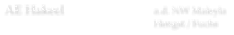 AE Hakeel a.d. NW Maleyla  Hengst / Fuchs