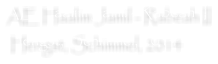 AE Haalim Jamil - Rabeah II  Hengst, Schimmel, 2014