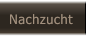 Nachzucht Nachzucht
