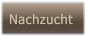 Nachzucht Nachzucht